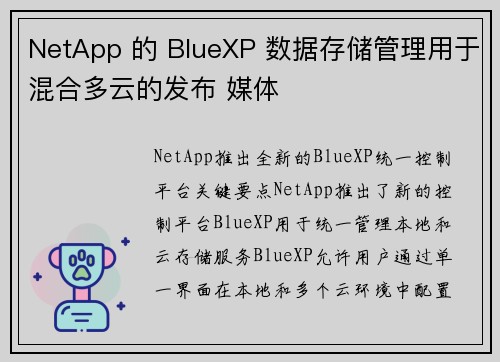 NetApp 的 BlueXP 数据存储管理用于混合多云的发布 媒体